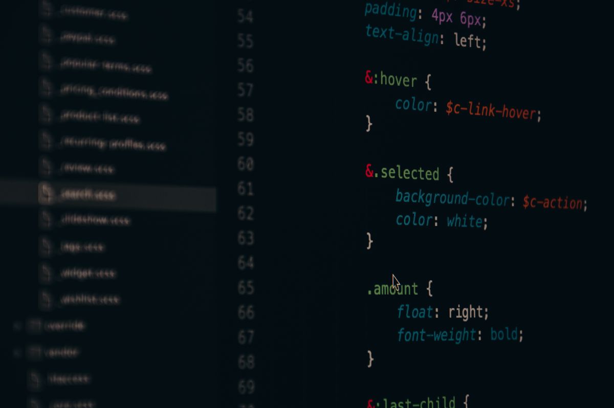 SaaS monorepo NestJS Next.js structure — close-up of code and file organization in a software development environment on a monitor