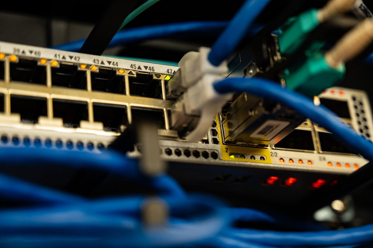 Close-up of ethernet cables connected to a network switch representing high-availability server deployment