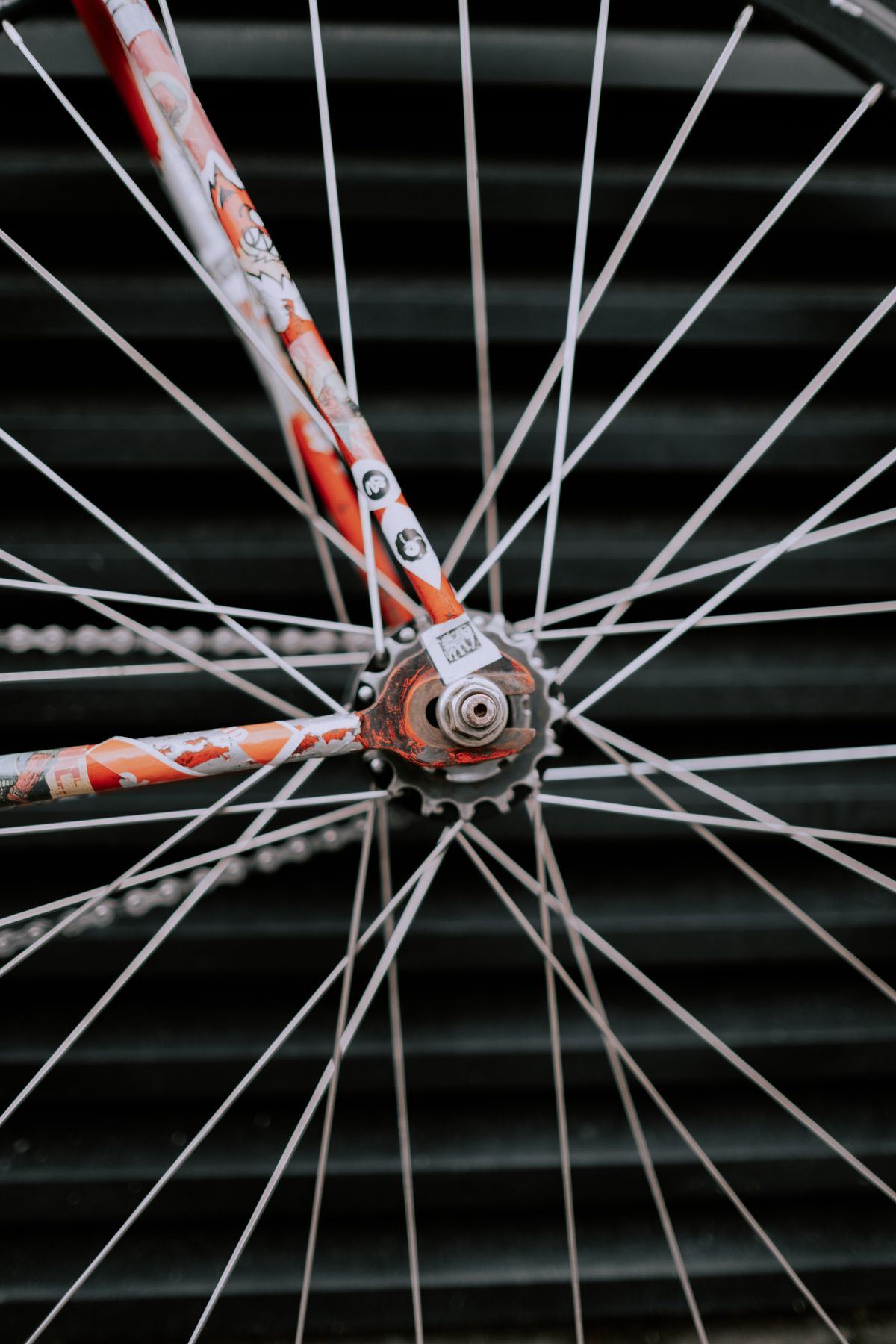 A close-up of a bicycle wheel with metal spokes radiating from a central hub, representing every container reading from and writing to one shared cache instead of its own separate copy