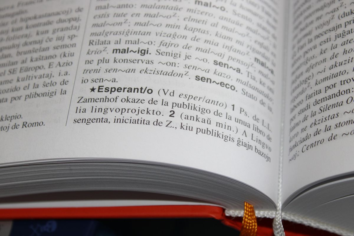 International translation and language reference with an open book showing multilingual text