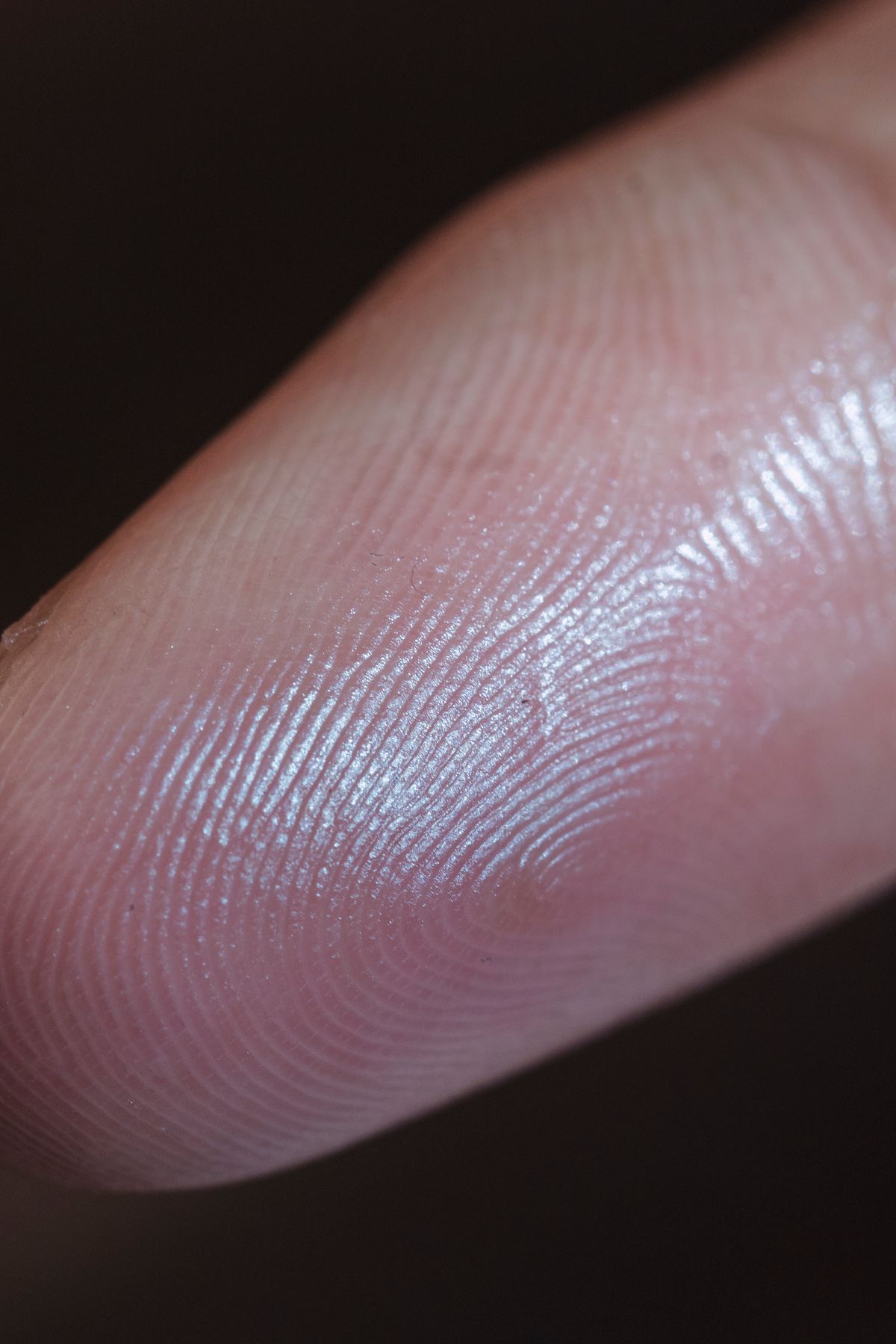 An extreme macro close-up of a human fingertip showing the fine ridged whorl pattern of a fingerprint